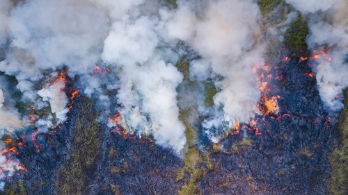 שריפת יערות גשם באמזונס, ברזיל